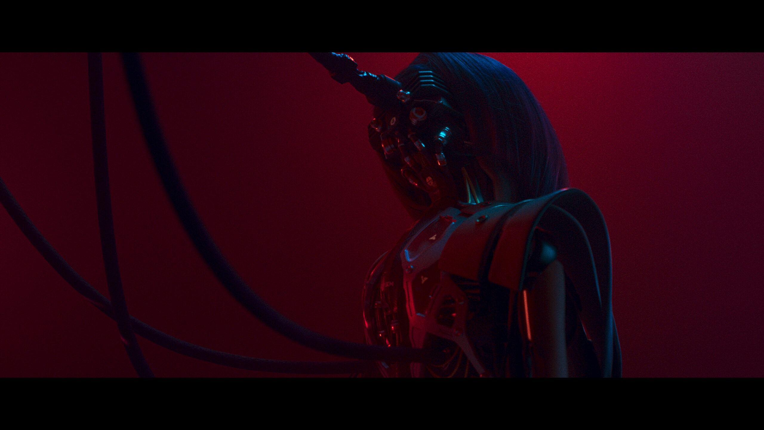 Dawid_stills__2.26.1