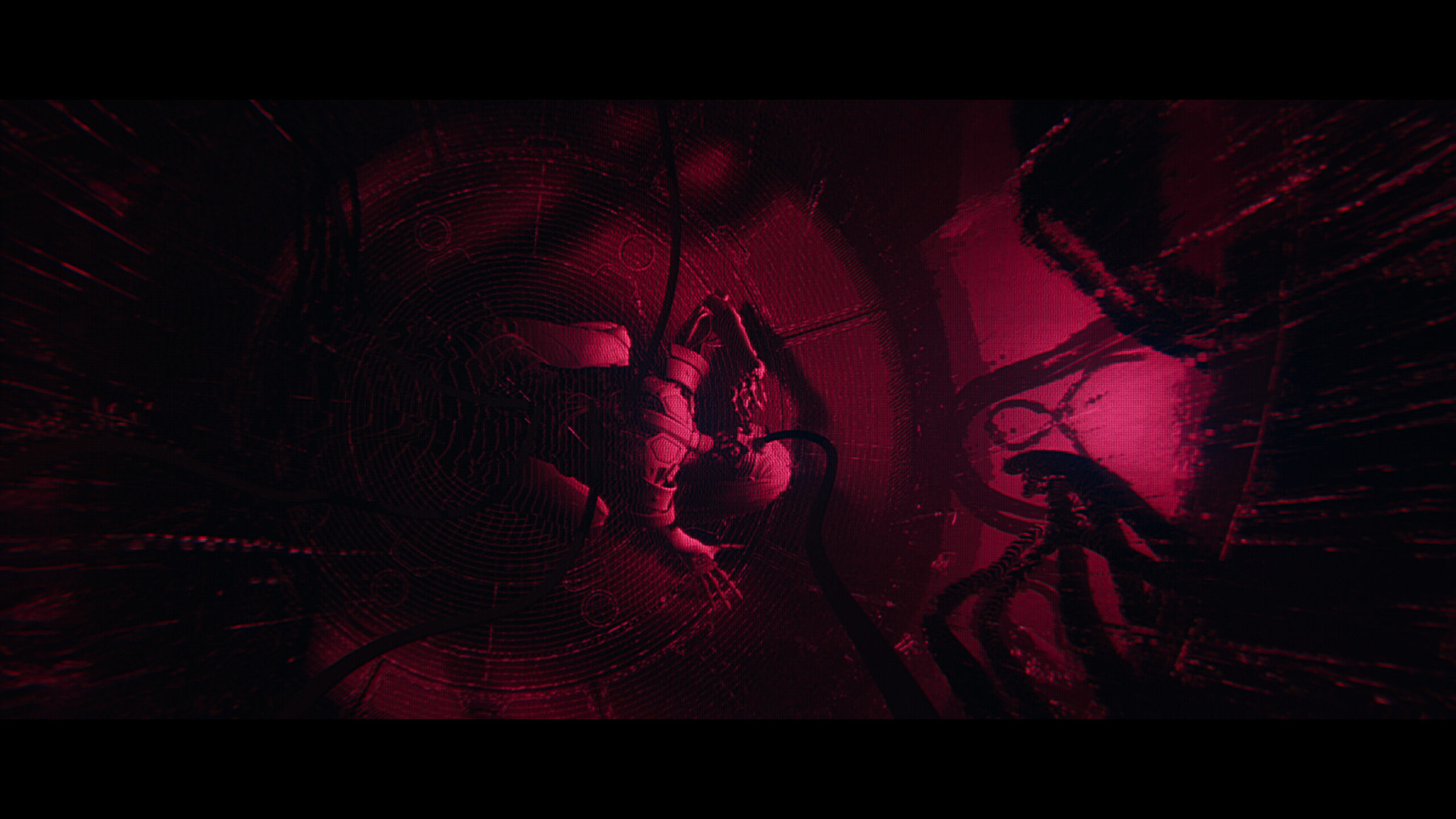 Dawid_stills__7.9.2 copy