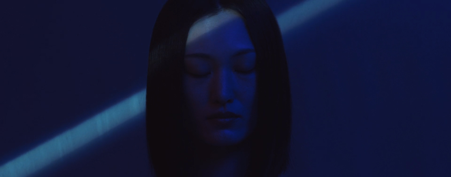 abeja_-_transcoding 03