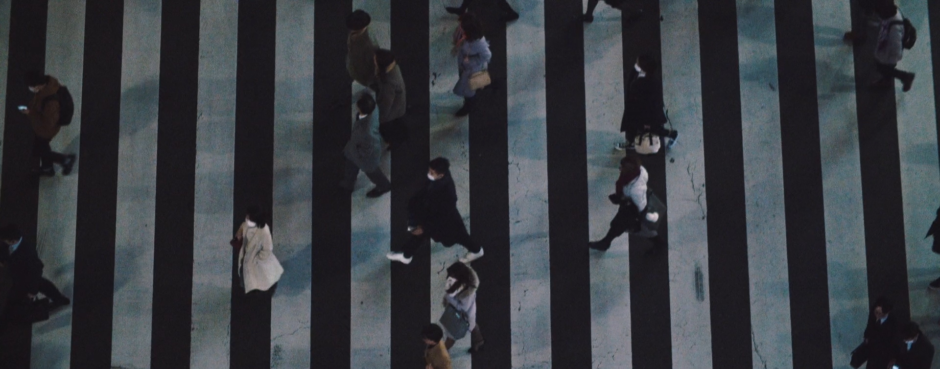 abeja_-_transcoding 07