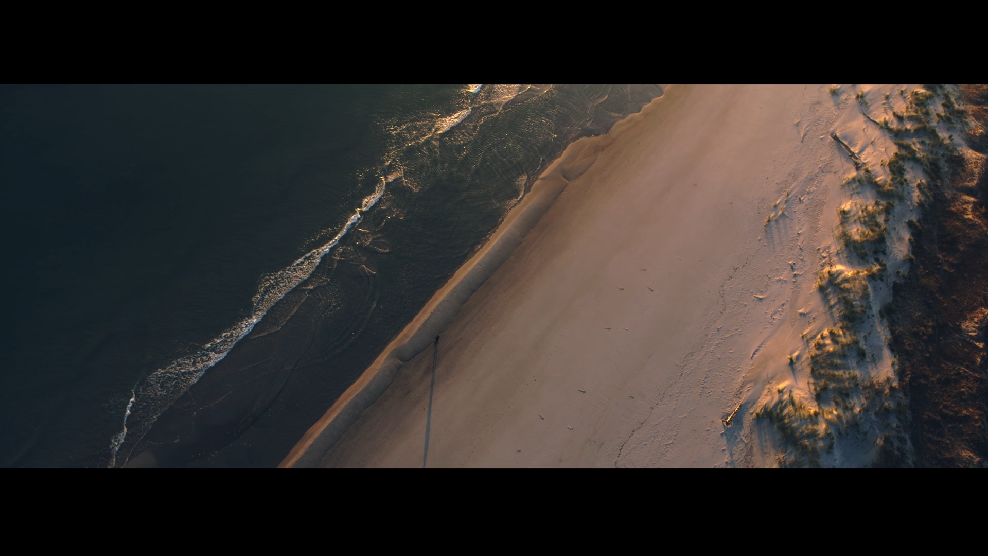 dolby_-_visionary 04