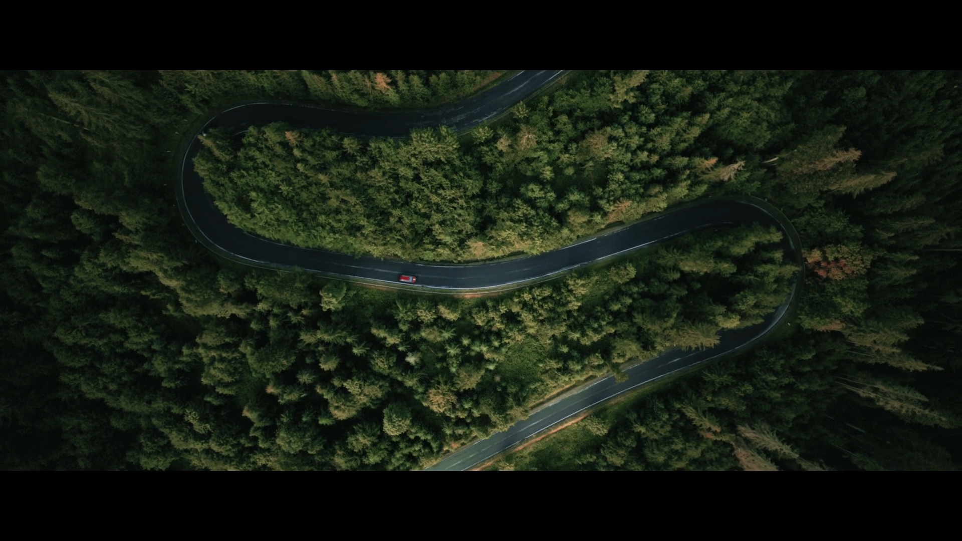 Škoda_-_eagle’s_path 09