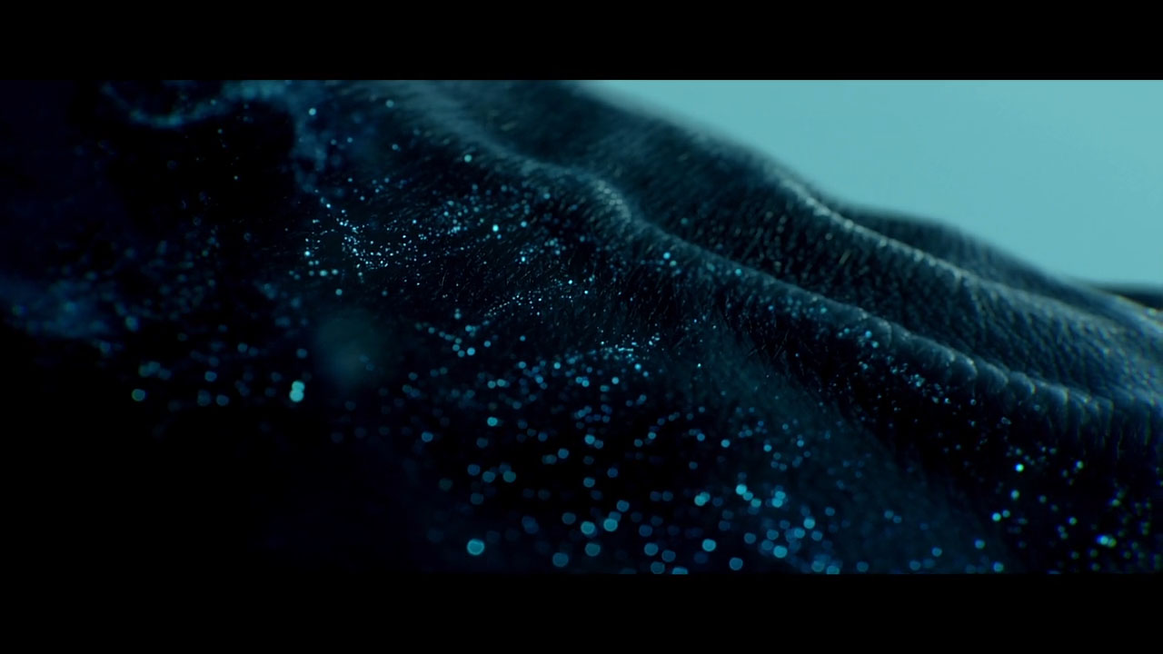 tedxwarsaw_-_men&women (720p)3